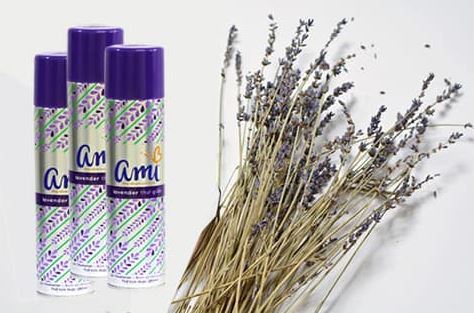 Xịt phòng Ami (280ml Gift) – ảnh mô tả 2