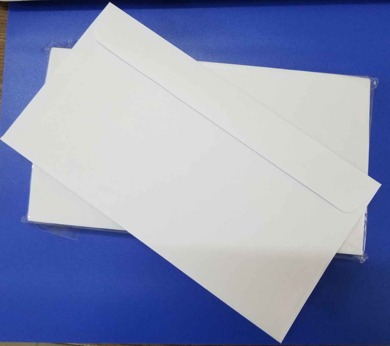Bao thư (12*22 keo thấm nước) – ảnh mô tả 2
