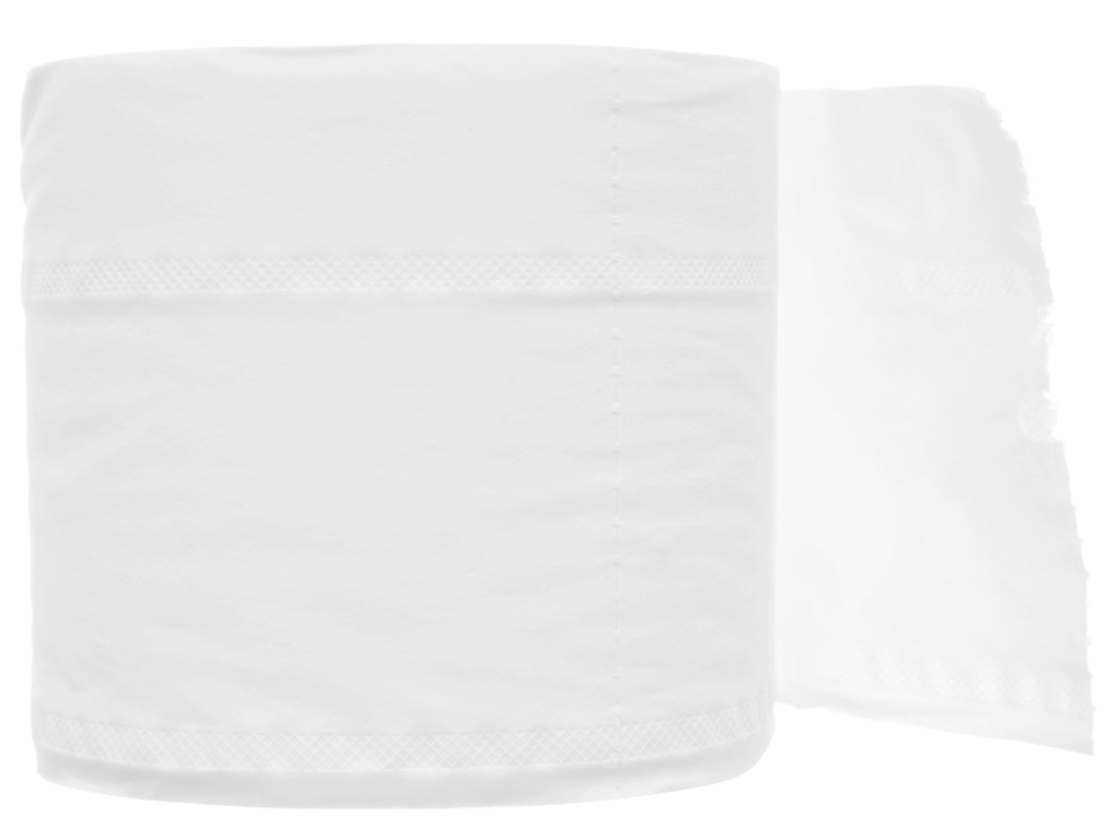 Giấy VS WaterSilk (3 lớp- lốc 10 cuộc) – ảnh mô tả 3