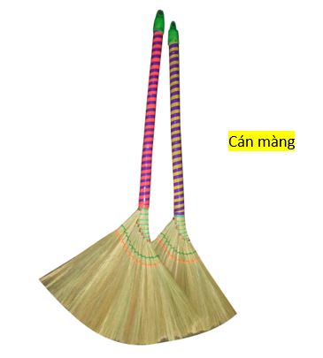 Chổi cỏ dày (thường-cán cây) – ảnh mô tả 3