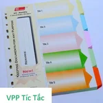 Bìa phân trang giấy Pgrand 5 màu (không sổ)